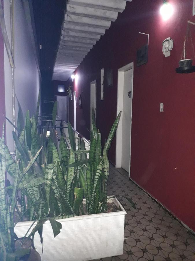 Flor Da Liberdade *